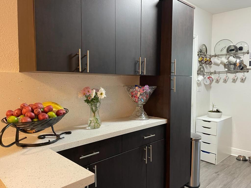 Brazilian Home Coral Gables Eksteriør billede
